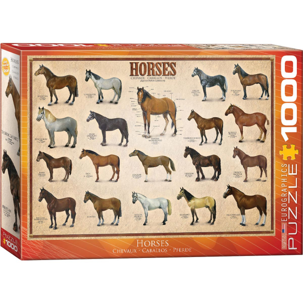 Eurographics Horses 1000-Piece Puzzle 6000-0078 - ODDO igračke